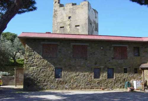 03 castiglione