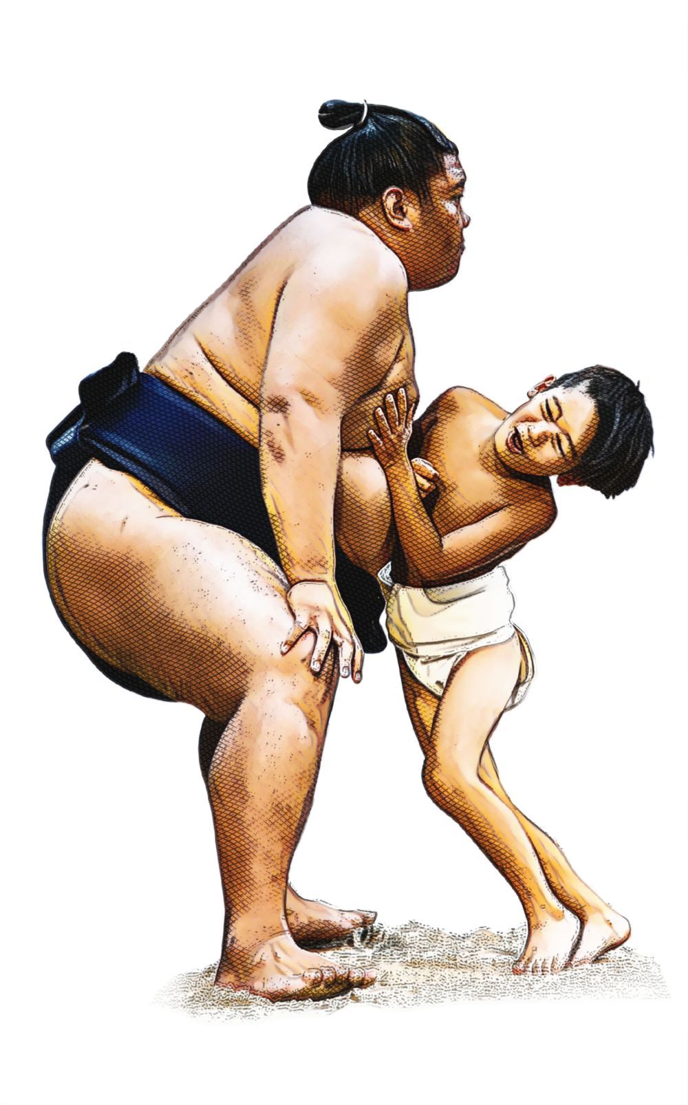 01ITO7sumo 960144