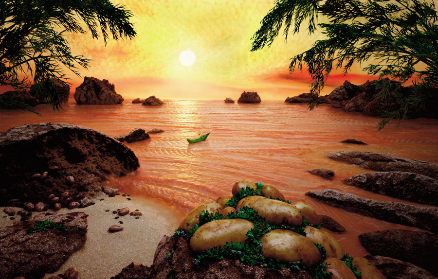 Salmon-Sea