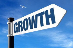 franchising economia